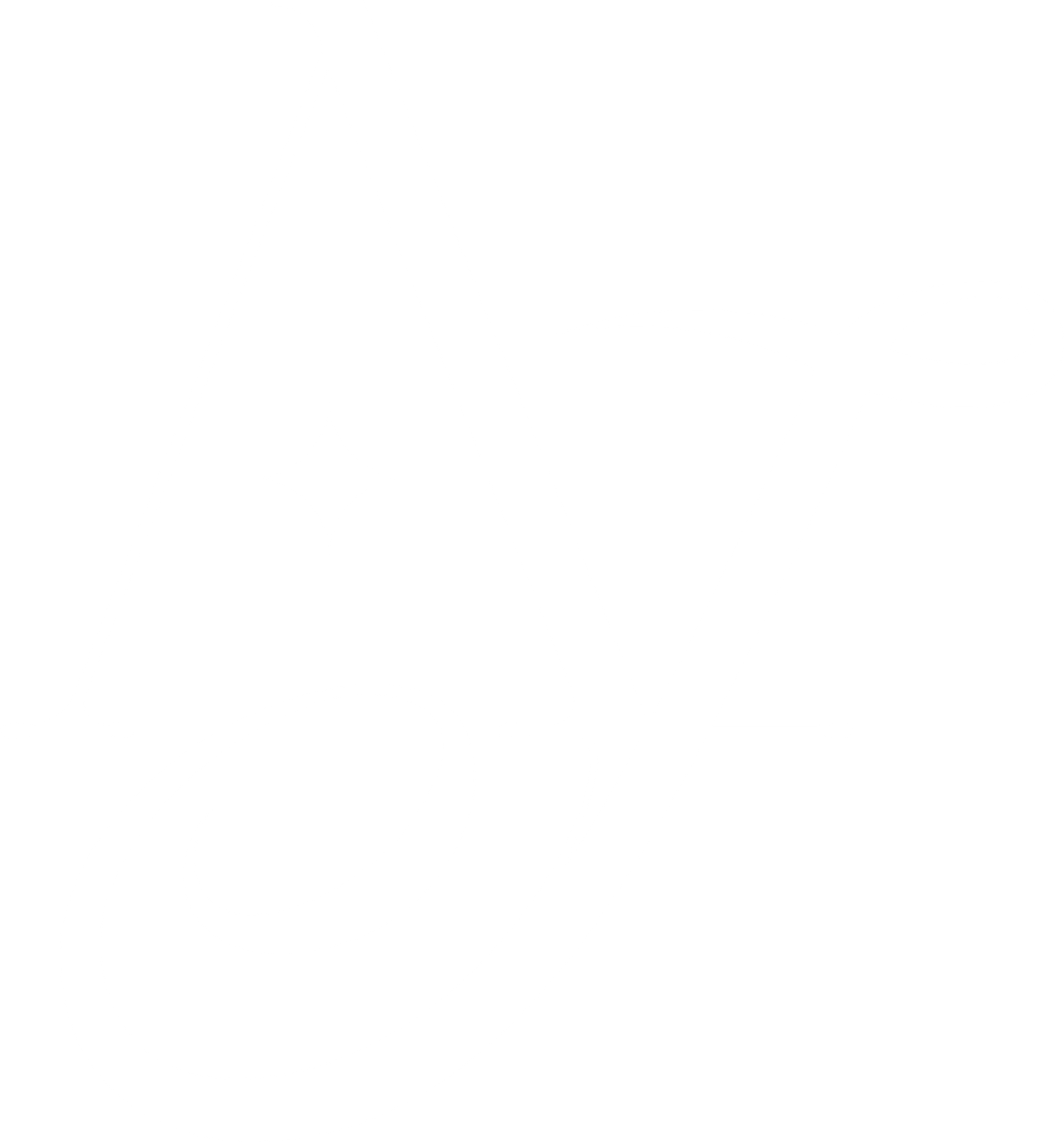 logo iso arcafitllc